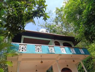 The Forest villa - 0