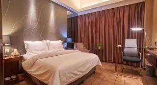 Metropolo Hotel Shijiazhuang Yuhua Wanda Plaza - 5