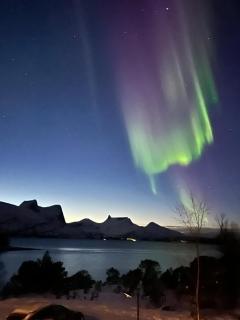 Efjord and Stetind Resort - Cabin Ocean - 6