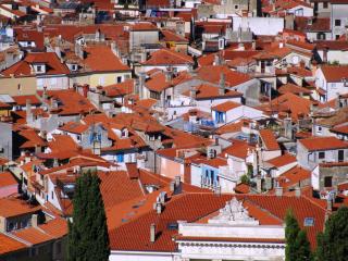 Terra Apartments - Piran - 5