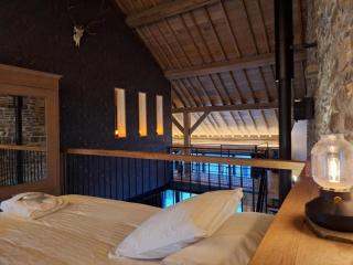 3 Waters Spa-Loft Lux privatif à Winnenne - 3
