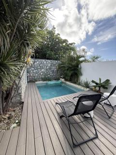 Stylish villa with private pool in Koolbaai - 9