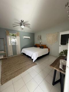 Stylish villa with private pool in Koolbaai - 3