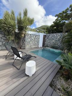 Stylish villa with private pool in Koolbaai - Koolbaai - 0