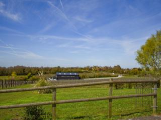 Thistle No4 - Uk49250 - 3
