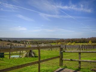 Thistle No4 - Uk49250 - 2