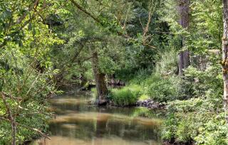 Amazing Apartment In Irrhausen With Wifi - 3