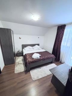 Casa Alexandru Dorin - 8