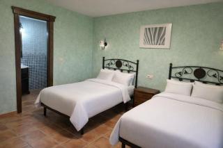 Los Olivos de Miróbriga - 3