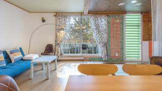 Gapyeong Monami spa pension - 5