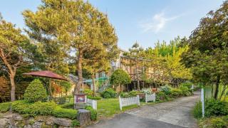 Gapyeong ojeupension - 3