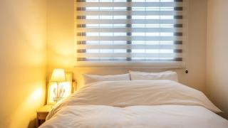 Geoje Blueberry Pet Pension - 8