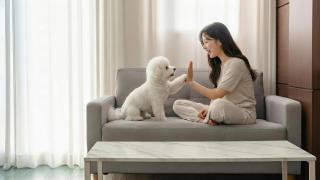 Geoje Blueberry Pet Pension - 5