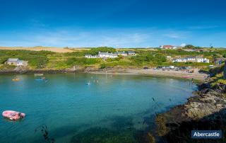 Abergwaun Cottage - 4