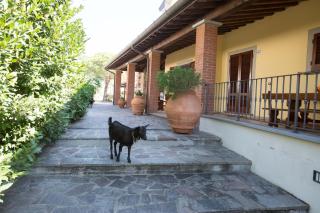 Agriturismo Poggetto - 7