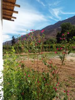 El Sueñero Tilcara - 2