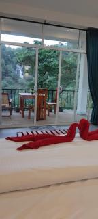 Morning light ella - 1