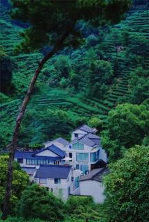 杭州素言设计师民宿西湖景区店 - 0