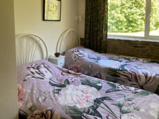 Steep Holm - Kington - 1