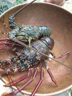 Tomorrowland Beach Villas - 3