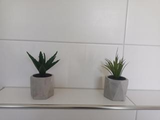 Haus MoorRose - Schweiburg - 1