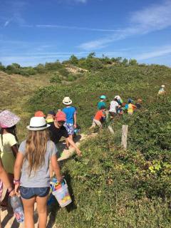 Camping Les Gros Joncs - Maeva - 1