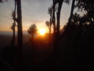 Lumora Hills Ella - 7