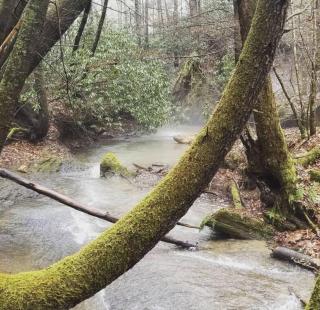 Soul Sister- Creek View, WiFi, Firepit, WiFi, Hiking, 4 mins to Natural Bridge - 2