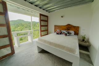 El Templo- Jungle Mirador - 3