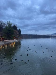 Lake view luxury sunset apartment - 6