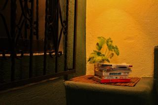 Olivo Hostel, Punta Zicatela - 1