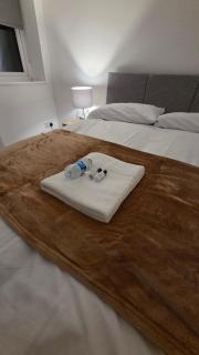 The Family Flat by JS Apartments - 1