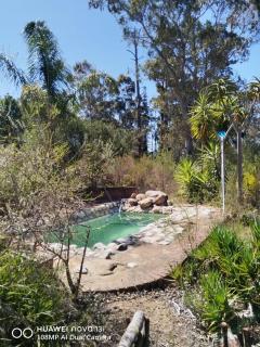 Tomorrowland Guest Farm - 7