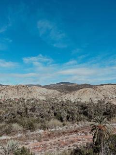 Surfskaterstyle Stay - 1