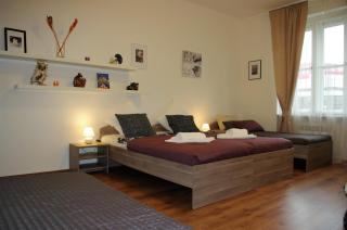 Spacious Prague View Apartment - Prague - 1