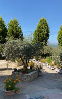 Iljon Apartments - 7