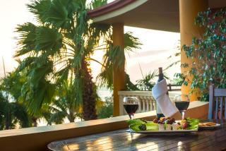 Aruba Surfside Marina - Oranjestad - 4