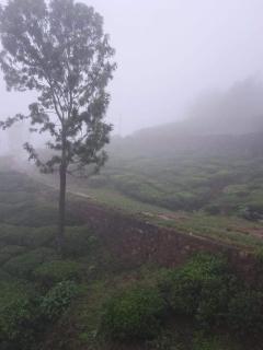 Mysterious mountain - 0