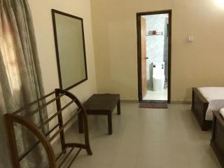 Wild Wild Holiday - 5