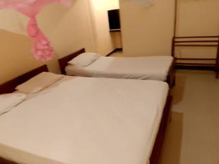 Wild Wild Holiday - 1