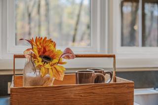 Black Forest - Wifi, Pet Friendly, Grill, Deck, Screen Porch, Family Friendly, Fireplace, Pool Access, Hiking - 6