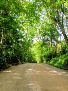 Villa Bamboo - Secretário - 7