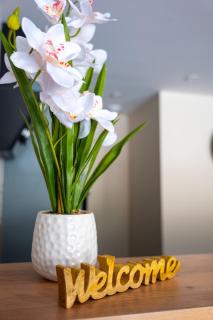 Pont-d'Ouilly - Le Tilleul - 8