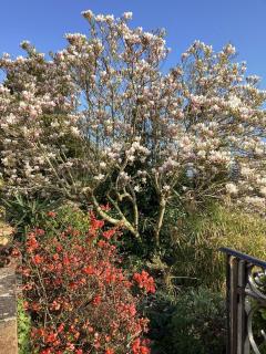 3 Bed in Kingswear oc-sdomeg - 4