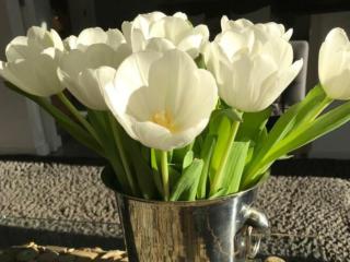 Holiday apartment summer breeze - 4