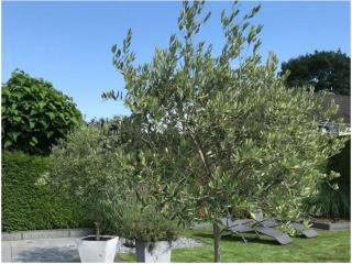 Holiday apartment summer breeze - 0