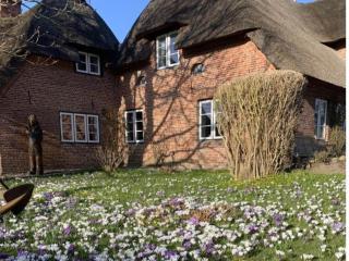 The Lütte Comfortable holiday residence - 4