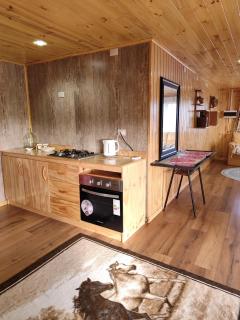 Cabaña monoambiente - 6