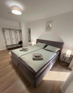 MUEL Apartment EG am Dreiländereck DE,CH,FR - 3