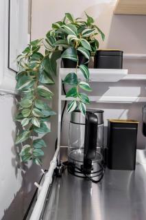 Athenian Bliss Spotless Neos Kosmos WiFi Studio - 5